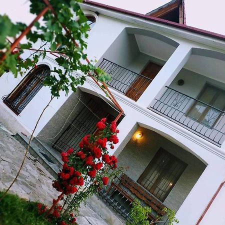 Villa "Zepuri" Душети Экстерьер фото