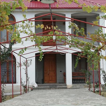 Villa "Zepuri" Душети Экстерьер фото