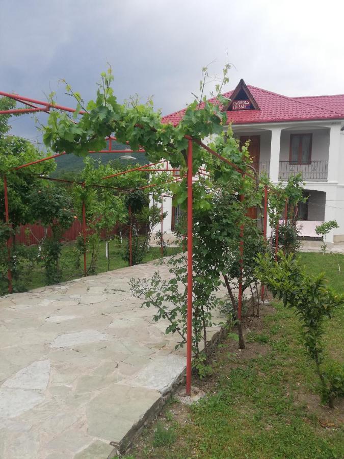 Villa "Zepuri" Душети Экстерьер фото