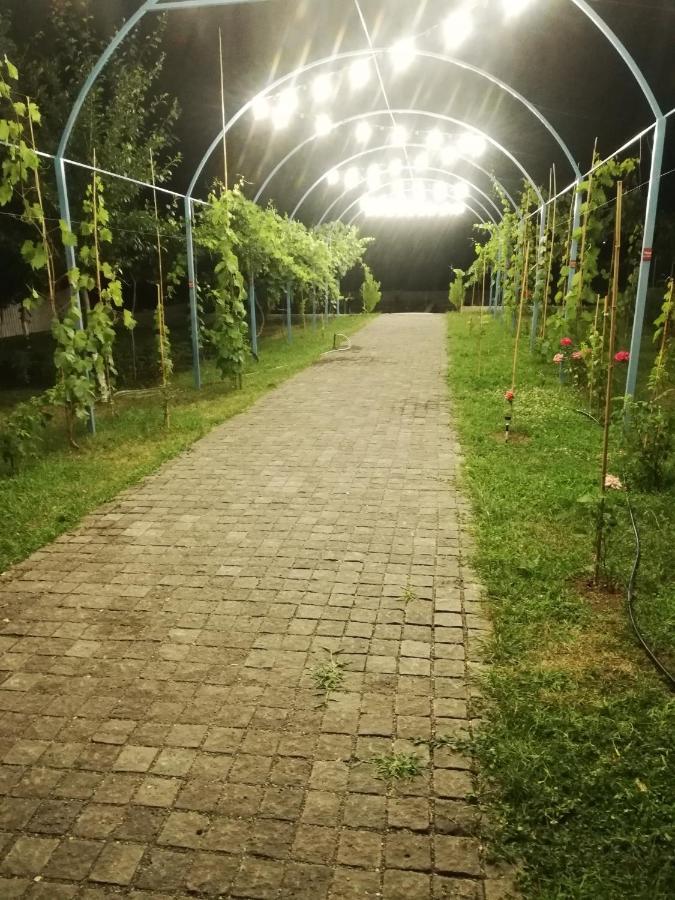 Villa "Zepuri" Душети Экстерьер фото
