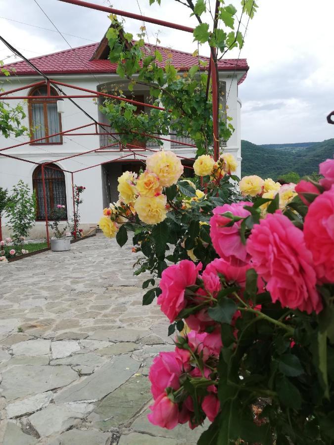 Villa "Zepuri" Душети Экстерьер фото