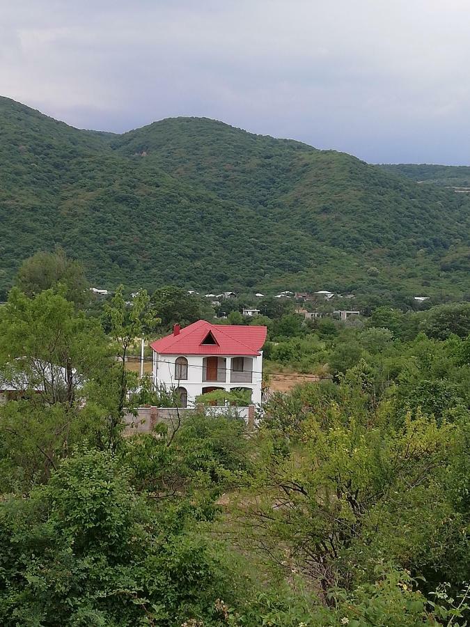 Villa "Zepuri" Душети Экстерьер фото